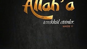 ALLAH (C.C.)