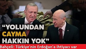 Bahçeli'den Başkan Erdoğan sözleri: Türkiye'nin ihtiyacı var 