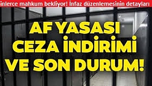 İnfaz düzenlemesiyle çifte bayram! Kimler tahliye olacak? Yaşa göre düzenleme... 