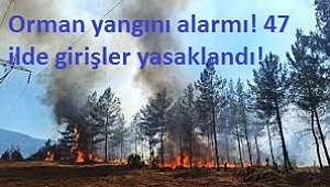 47 ilde ormanlara giriş yasaklandı: Yangın tedbirleri bölge bölge açıklandı 