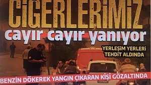 Orman yangınlarında son durum: Kahramanmaraş, Sakarya, İzmir, Bursa, Manisa, Gaziantep ve Bolu! | Gözaltılar var | Devlet milletinin yanında 