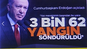 Başkan Erdoğan'dan orman yangınları mesajı: Gece gündüz teyakkuz halindeyiz 