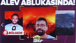Orman yangınlarında son durum! Bursa, Kahramanmaraş, Karabük... Felaketin boyutu gün ağarınca ortaya çıktı 