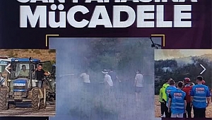 Yeşil vatan için can pahasına mücadele! Devlet ve millet el ele verdi  
