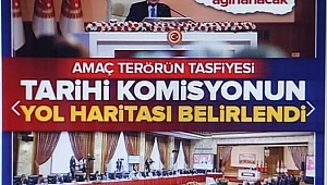 Milli Dayanışma, Kardeşlik ve Demokrasi Komisyonu'nun çalışma usulleri ve yol haritası belirlendi! 