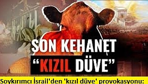 Soykırımcı İsrail'den 'kızıl düve' provokasyonu: İddialar ve görüntüler ortalığı karıştırdı  