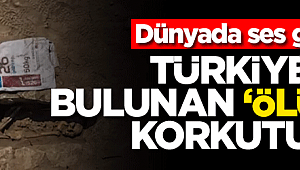 Dünyada ses getirdi! Türkiye'de bulunan 'ölüler evi' korkutuyor 