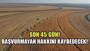 Tapu sahiplerine '45 gün' uyarısı: Başvuru yapmayanların arazileri otomatik kiraya verilecek 
